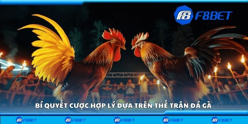 Bí quyết cược hợp lý dựa trên thế trận đá gà