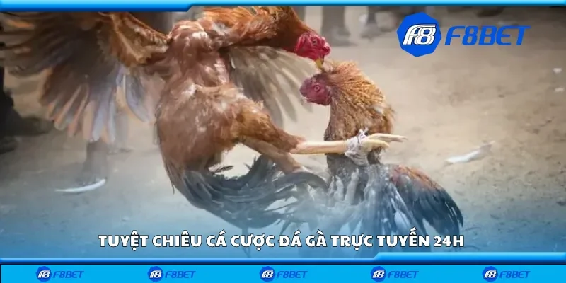 Tuyệt chiêu cá cược đá gà trực tuyến 24h